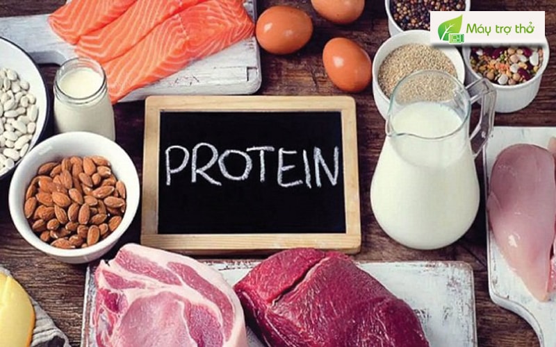 Thực phẩm giàu protein. (Ảnh:Internet)